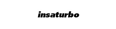 Insaturbo