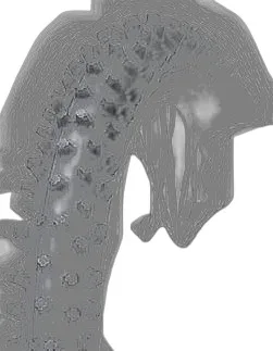 Dunlop GEOMAX MX12