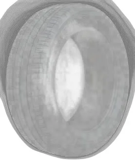 Zeetex HP2000 VFM